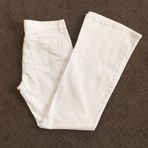 Women’s LOFT modern flare